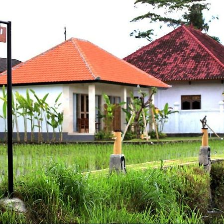 Padi Guest House كيراماس المظهر الخارجي الصورة